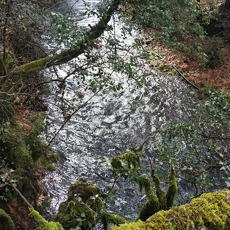 The House On The Road Of