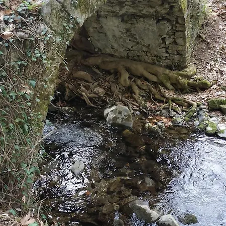 The House On The Road Of דירה