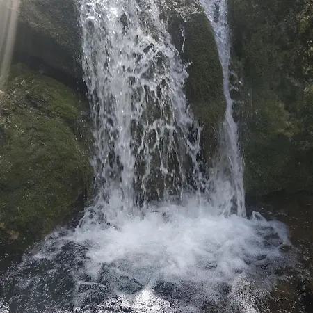 Apartament The House On The Road Of *