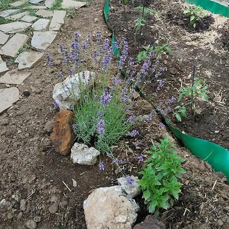 Διαμέρισμα The House On The Road Of *