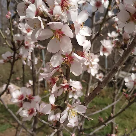 דירה The House On The Road Of