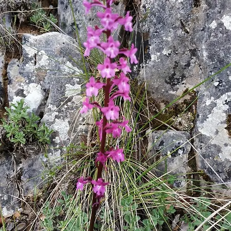 The House On The Road Of